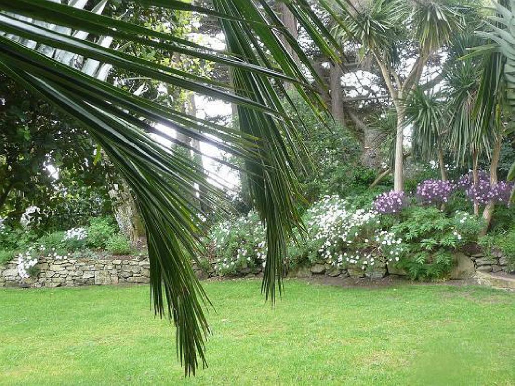 130 Ile de Batz Jardin Georges Delaselle_000006.jpg